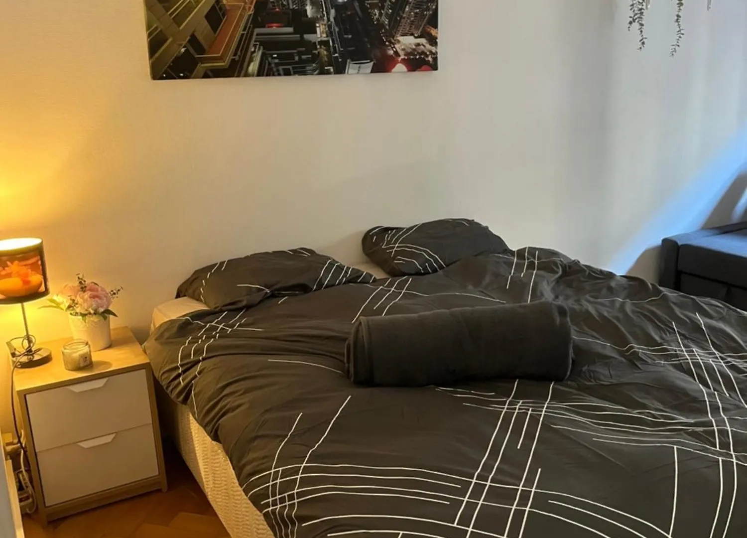 Super Appartement A Plaimpalais Γενεύη